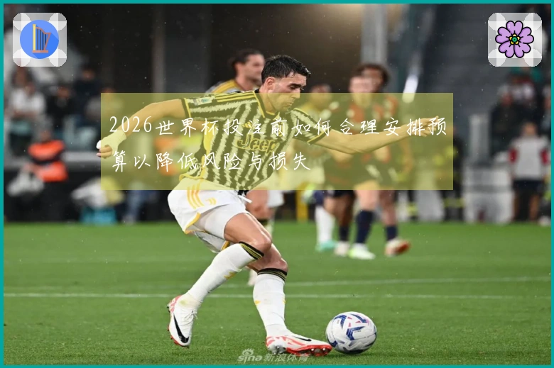 2026世界杯投注前如何合理安排预算以降低风险与损失