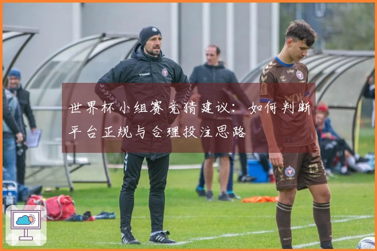 世界杯小组赛竞猜建议：如何判断平台正规与合理投注思路