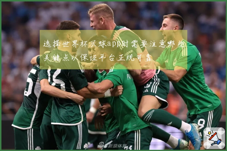 选择世界杯买球app时需要注意哪些关键点以保证平台正规可靠