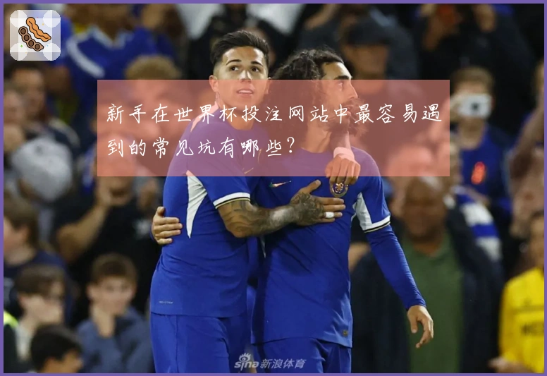 新手在世界杯投注网站中最容易遇到的常见坑有哪些？