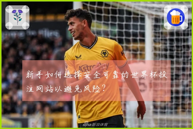 新手如何选择安全可靠的世界杯投注网站以避免风险？