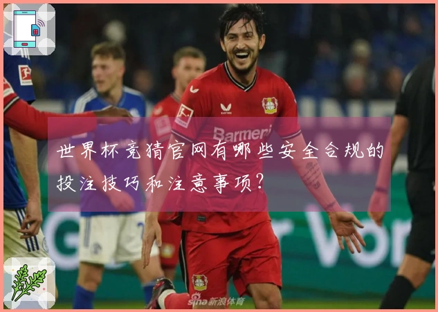 世界杯竞猜官网有哪些安全合规的投注技巧和注意事项？