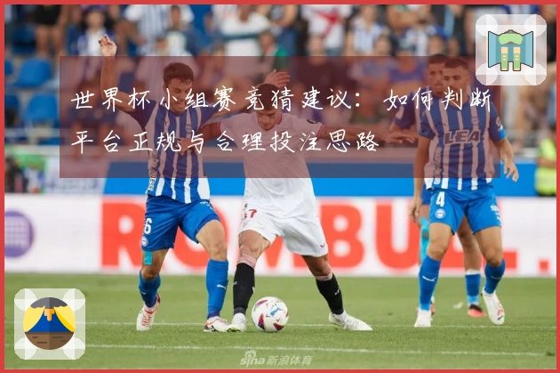 世界杯小组赛竞猜建议：如何判断平台正规与合理投注思路