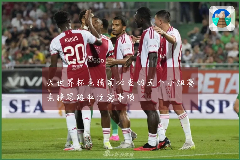 买世界杯竞猜前必查的五个小组赛竞猜思路和注意事项