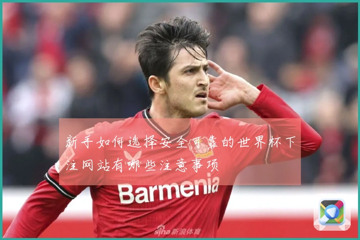 新手如何选择安全可靠的世界杯下注网站有哪些注意事项